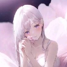 Guest_CP257666