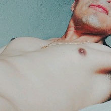 Guest_Arcontree