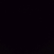 Guest_Hbub1
