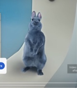 Guest_kittywittle