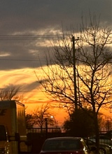 Guest_QueenQuanesia222