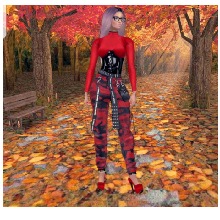Guest_Kacey335408