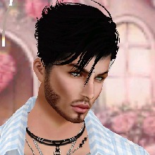 Guest_Leo385910