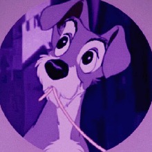 Guest_zanyaquadc01