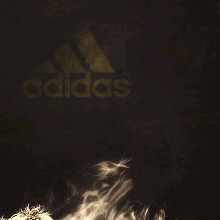 Guest_Alex69916