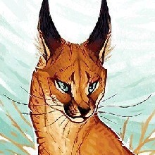 Guest_senhorroxxie