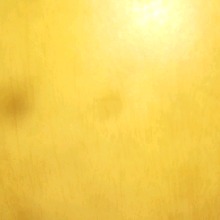 Guest_PADORA5