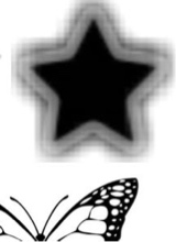 Guest_Katy986249
