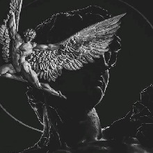 Guest_NoahX18