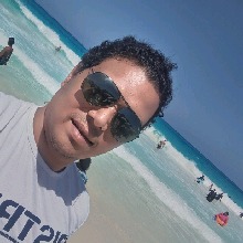 Guest_anah599473