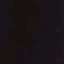 Guest_Patricio22
