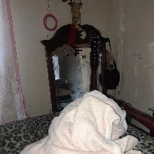 Guest_Jaylah642746