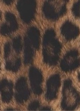 Guest_LondynOliver