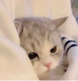 Guest_Nadii25