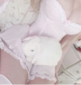 Guest_Dmelody1