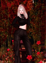 Guest_Eris34949