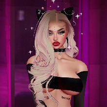 Guest_Kitten364567