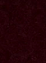 Guest_Chelsea64932