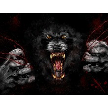 Guest_xwerewolf88192x