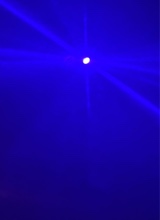 Guest_tomatodogwoodros7c44