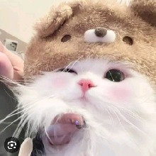 Guest_KimThoa4