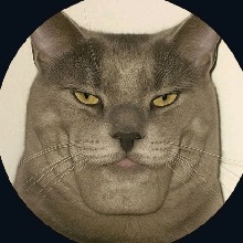 avatar picture