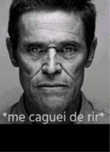 Guest_Pedro001237