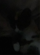 Guest_kaylovesuu