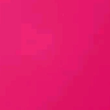 Guest_beatriz588380