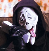 Guest_kayte14