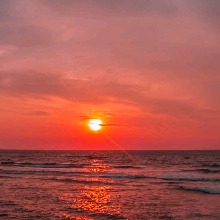 Guest_Samila42