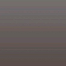 Guest_m000111