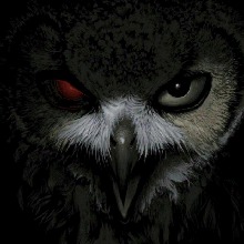 Guest_Yoalis1