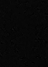 Guest_Dre354863