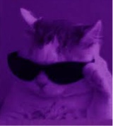 immagine avatar
