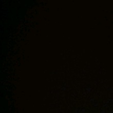 Guest_1NeZ