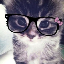 Guest_MichelleSantos17