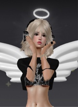 Guest_Sofi463477