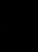 Guest_Aria150443