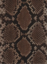 Guest_CurlyyMfnAss