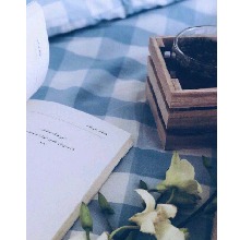 Guest_GeGe124141