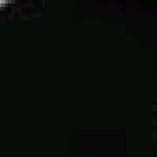 Guest_Koa342228