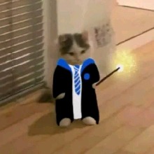 PPaz
