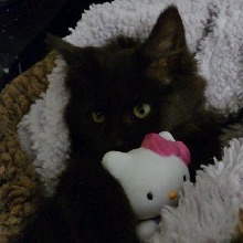 Guest_Abby312348