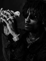 Guest_Sosa841511