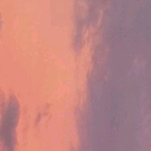 Guest_MaryVitria7