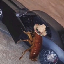 Guest_WormsInMyCereal
