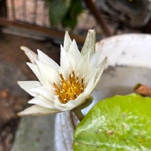 Guest_abijith