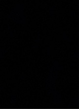 Guest_selena489346
