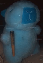 EllipticBear